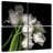 Harnek Frayed Tulips-109144802