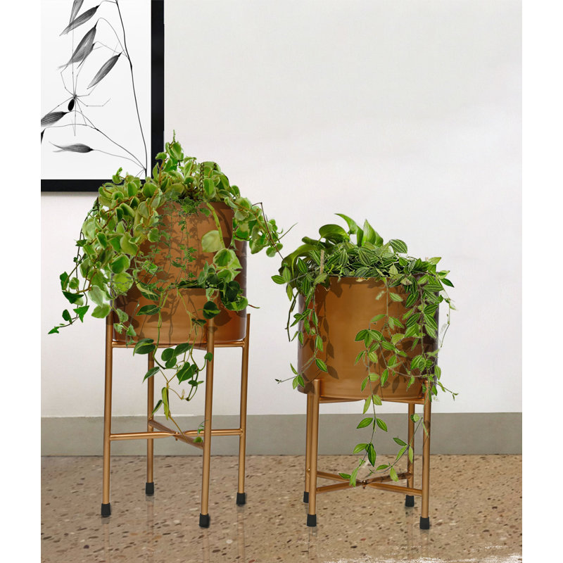 Jardinières en pot, 2