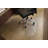 Evolve Hard Floor Straight Rectangular Chair Mat-21875001