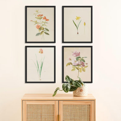 Garden Wildflower Variété campagne / campagne encadrée sur papier, 4 pièces