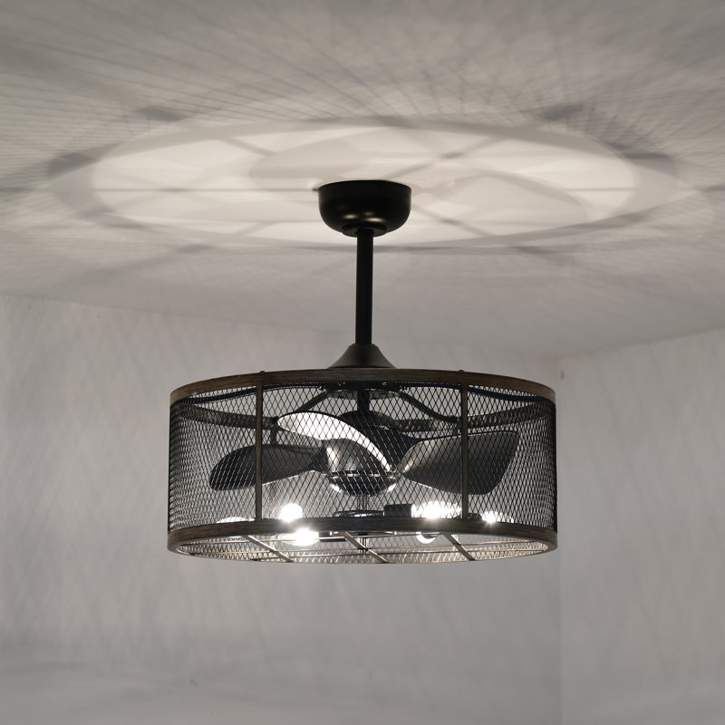 22'' Ceiling Fan with Light Kit