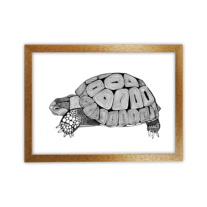 Tortoise by Carissa Tanton - Print, Oak Framed, 34cm H x 46cm W x 3cm D