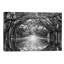 Oak Alley Reflection - Print on Canvas-1160148456-1119202964