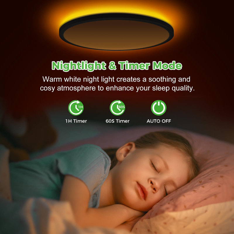 12 Inch LED Ceiling Light ,Ceiling Lamp