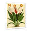 Fleurs rétro I - reproduction d'art sur toile-59650220-59650223