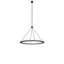 24 - Light Chandelier