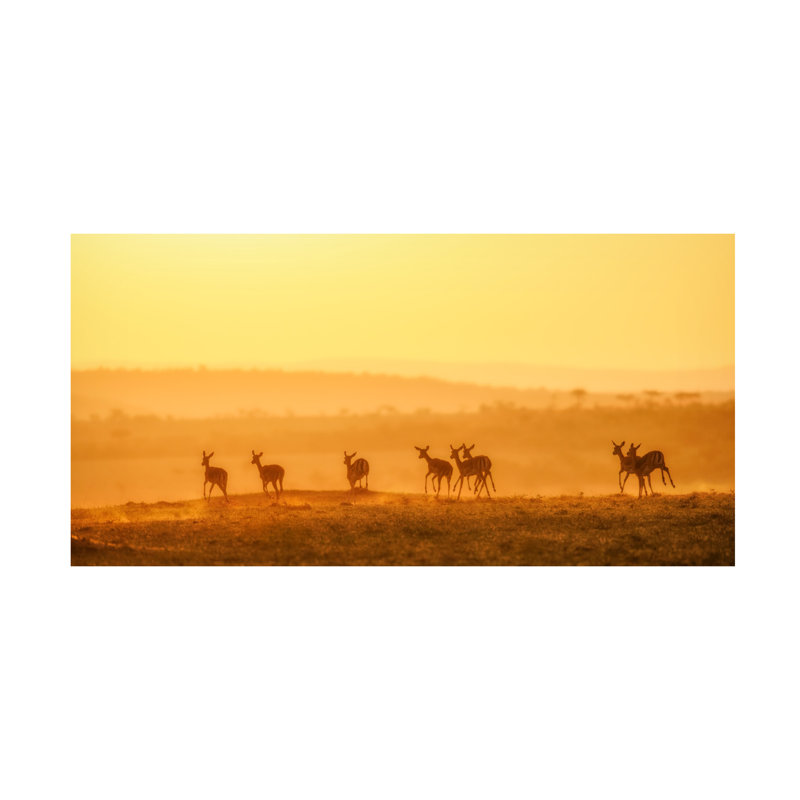 John Fan  Towards Sunset Canvas Art, 12" H x 24" W