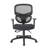 Mesh Task Chair