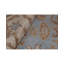 Wool Oriental Area Rug in Beige/Blue/Brown