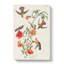 Mango Hummingbirds by John Audubon - Wrapped Canvas-55362837
