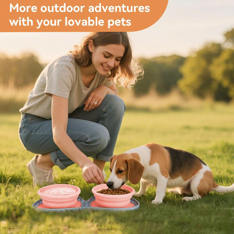 Bols en silicone pour animaux de compagnie
