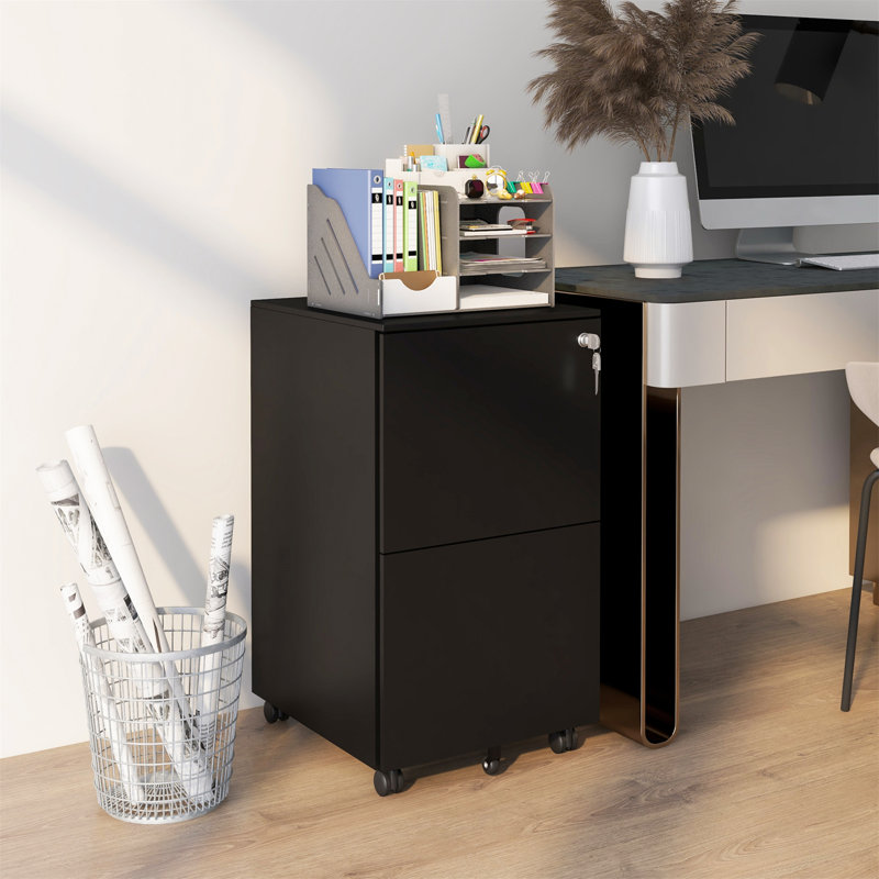 Aldrin 2 Drawer Filing Cabinet, Black