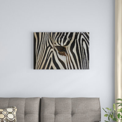 " Grevy " by San Diego Zoo