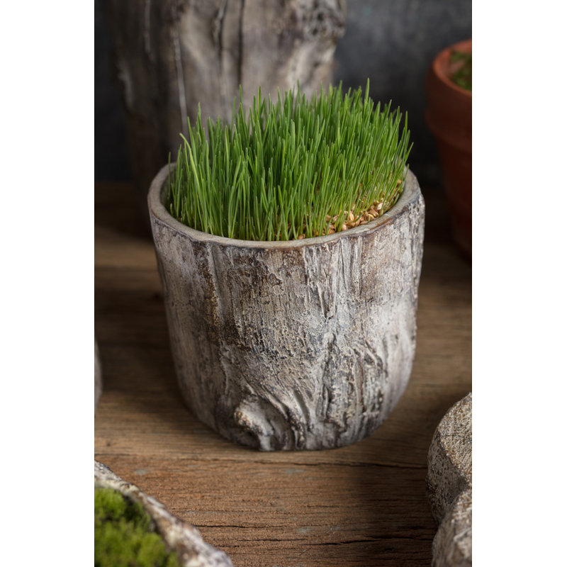 Caines Pot Planter, 6" W x 6.75" W x 6.75" D