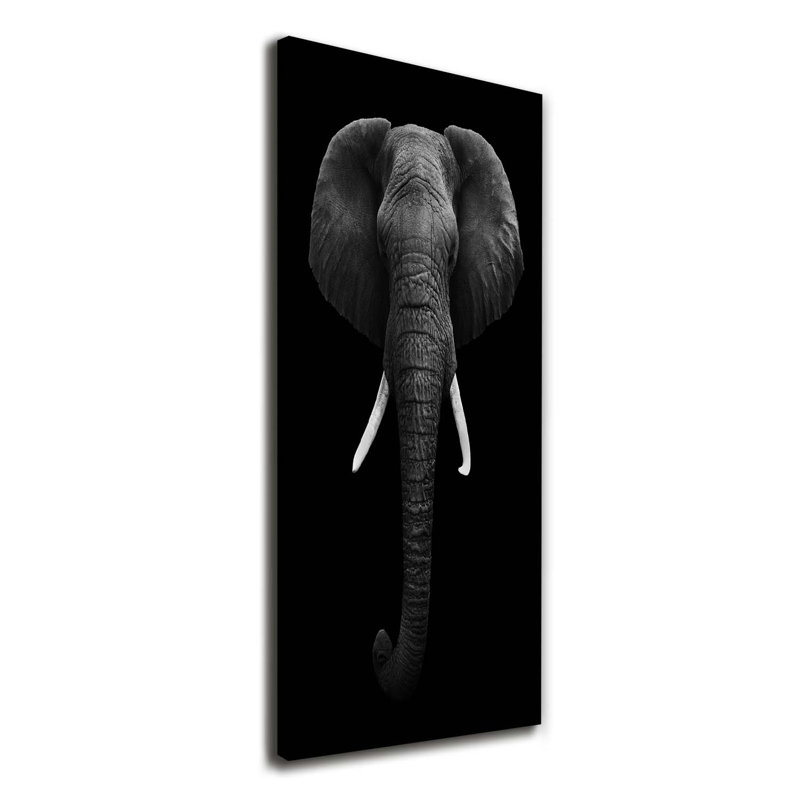 African Elephant - Wrapped Canvas Print