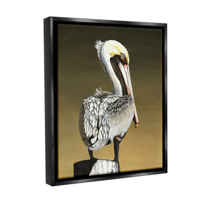 «Pelican With Intense Gaze» par Christine Reichow sur