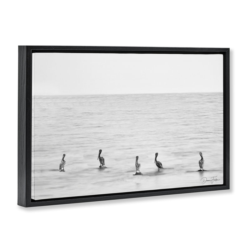 «Pelicans on Shore», toile flottante encadrée par Dennis Frates, Cadre flottant noir de jais, H 17 po x l 25 po