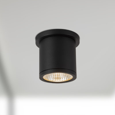 Nordic 4-in (3-in Dia.) Black LED Exterior Ceiling