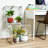 Acrylic Accent Trunk-1055322437