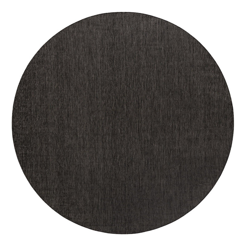 Tapis noir intérieur / extérieur Avaughn, Rond 10pi, Noir
