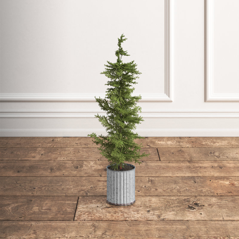 Faux Cedar Tree in Metal Pot, 26" H x 5" W x 5" D