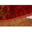 Silk Area Rug in Red