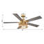 Ventilateur de plafond standard à 5 pales 52 po avec télécommande et ensemble d'éclairage inclus Rippeon-895135529