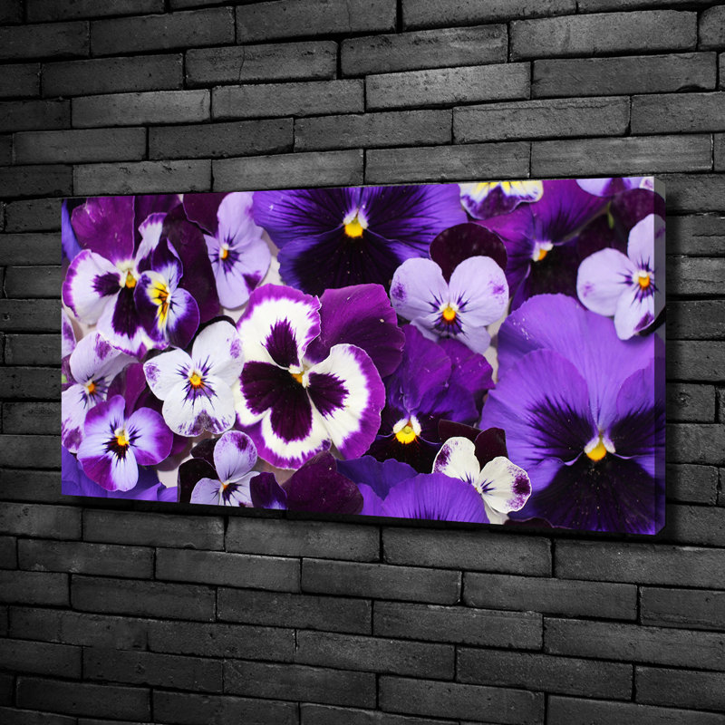 Pansies - Wrapped Canvas Print, 50cm H X 100cm W