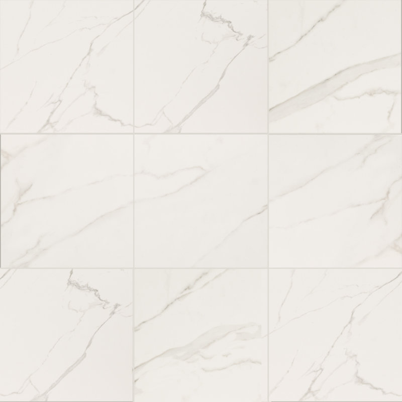 Zola 24 in. x 24 in. Polished Porcelain Marble Look Floor and Wall Tile, Delia