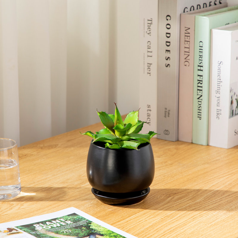 TYHPOT Ceramic Pot Planter, Black