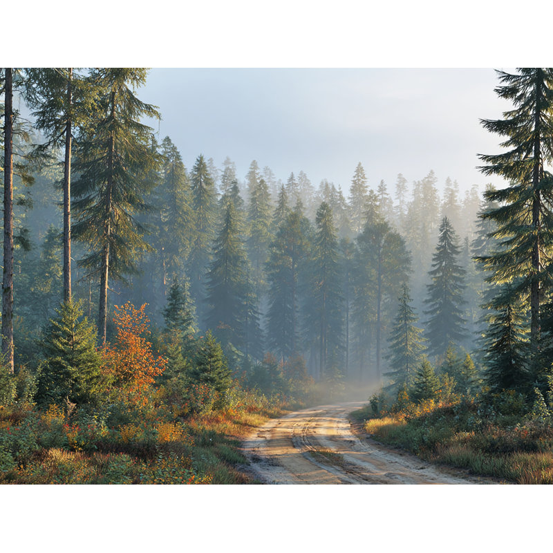 Whispering Pines Path - Art mural sur toile tendue, H 36 po x l 48 po