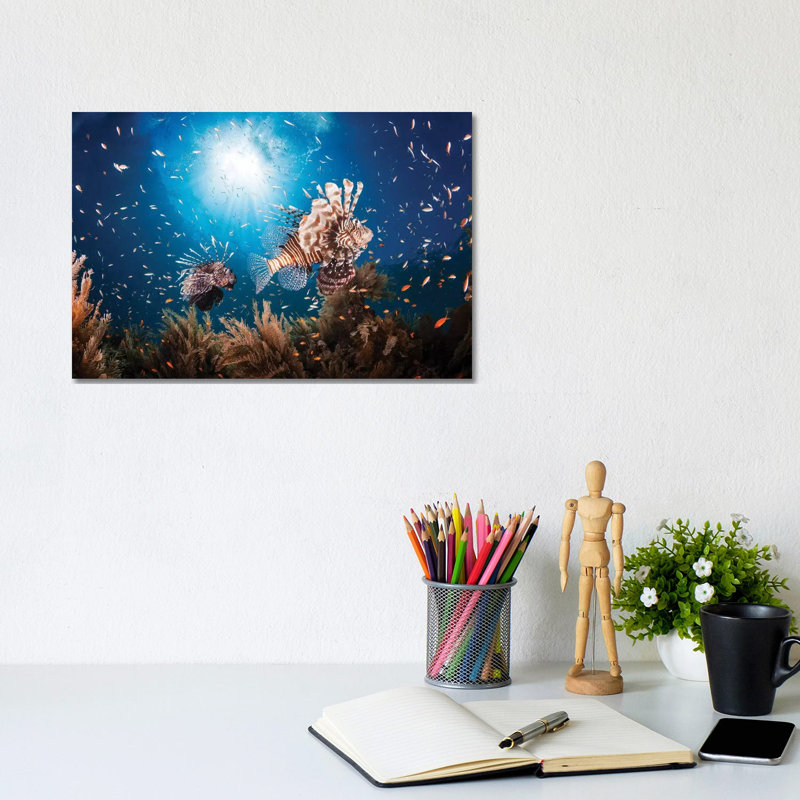 Lionfish by Barathieu Gabriel - Print on Canvas, Wrapped Canvas, 20.32cm H x 30.48cm W x 1.91cm D