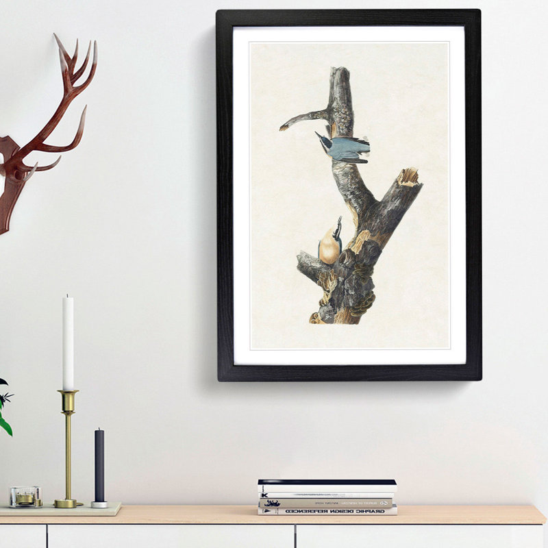 Red-Breasted Nuthatch Birds by John James Audubon - Picture Frame Painting Print, 48cm H x 36cm W x 2cm D, Black Framed