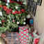 Customer photo 3 of 4