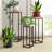 Billye Iron Plant Stand 1 Tier Set of 3