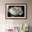 Pivoine blanche - reproduction de photo encadrée sur papier-1607024175-1607024172