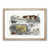Oak Framed selected