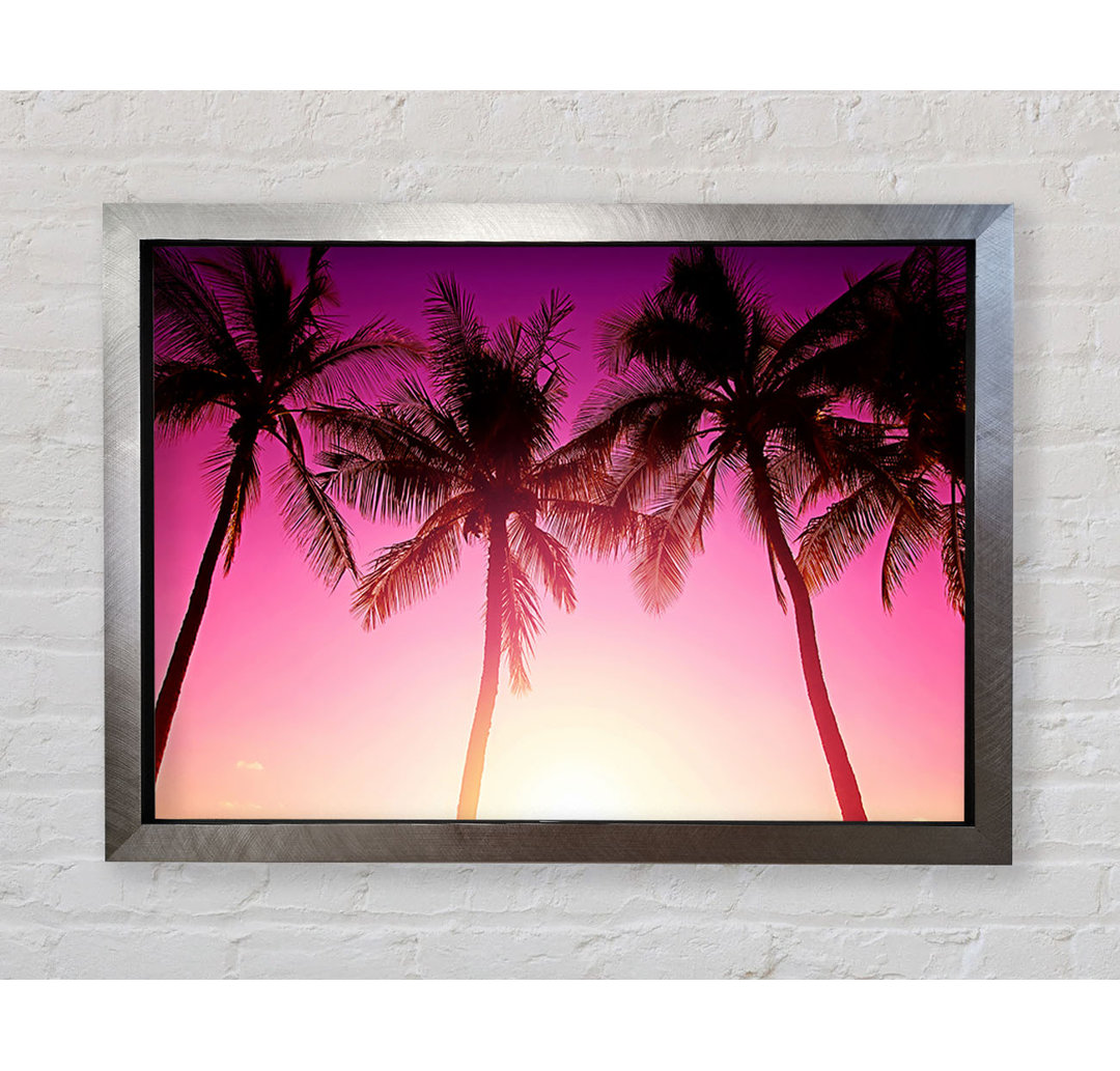 Los Angeles Sunset Palms - Druck