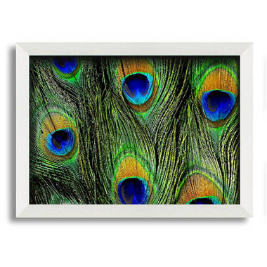 Framed Canvas Art (Gold Floating Frame) - Peacock Feather Symmetry I by Alyson Fennell ( Decorative Elements > Feathers art) - 40x26 in