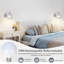 Armed Sconce-155718148