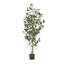 ARBRE DE LAURIER ARTIFIQUE 64 "H 64"