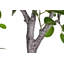 Arbre à ficus artificiel de 6 pi - plante artificielle verte en pot de décoration blanche, décoration de plancher d'intérieur, nécessitant peu d'entretien-123297746-123297744