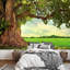 Spring Meadow with Big Tree 100' L x 144" W Wall Mural-88769575