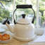 Le Creuset Enamel on Steel 1.25 Qt Demi Teakettle-9762650
