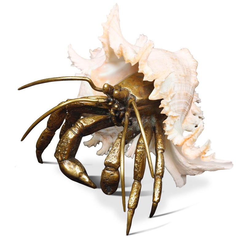 Ramosus Shell Sculpture