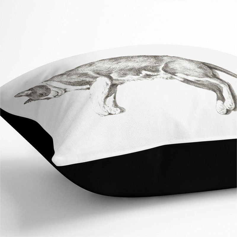 Square Throw Cushion, Black, 40cm H x 40cm W x 15cm D