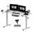 Adjustable Standing Desk, Whole-Piece Desktop-1613448263-1618947437