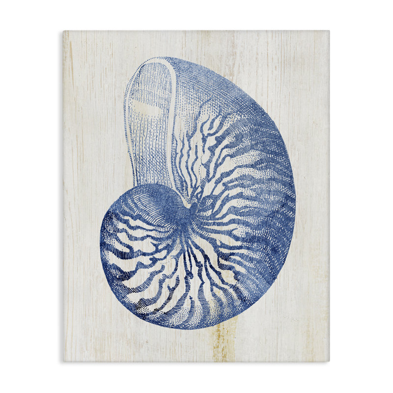 Toile de coquillage bleu Nautilus, design par Susan Arnot, H 20 po x l 16 po