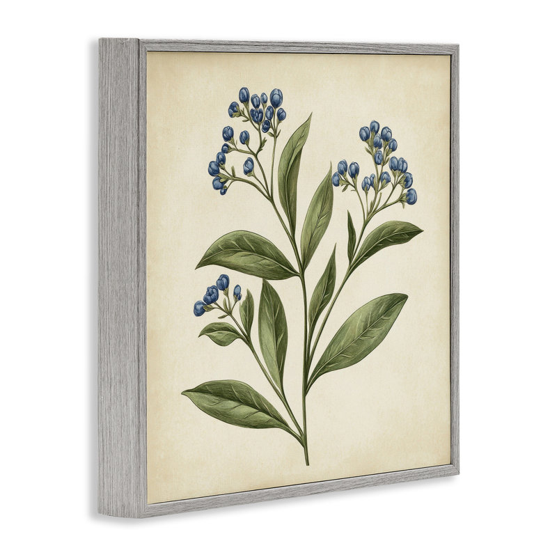 Illustration botanique de bourgeons, estampe numérique, design par Petal Prints Design, Estampe numérique Farmhouse