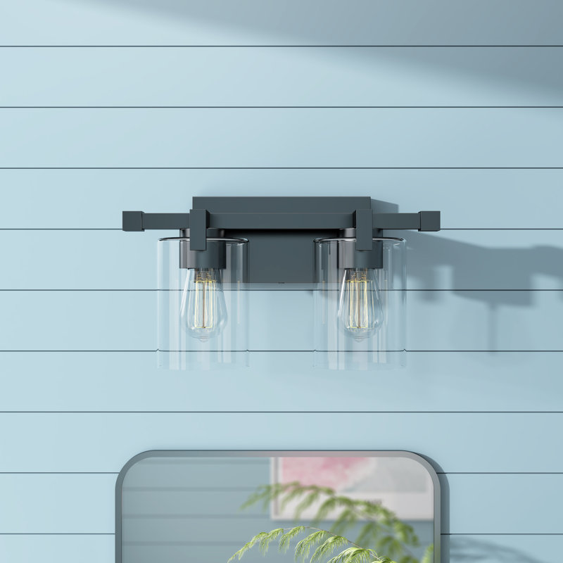 Hicklin 16 in. 2-Light Modern Dimmable Vanity Light in Matte Black with Clear Glass Shade, Black